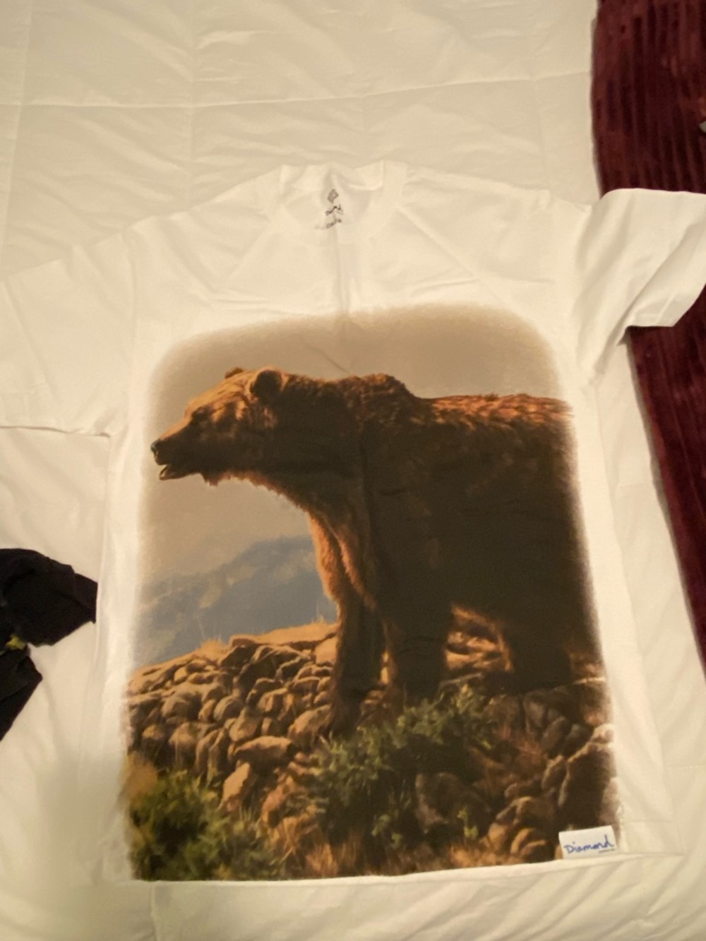 Diamond Supply Co. White Tee with Brown Bear Graphic